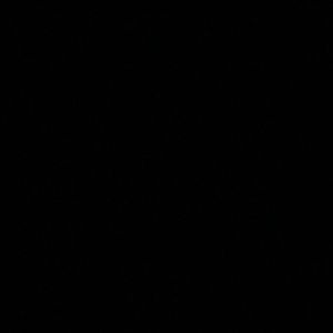 Meet your Posher, Angelica